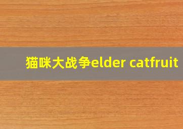 猫咪大战争elder catfruit